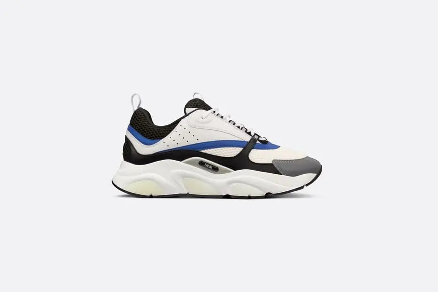 Dior B22
