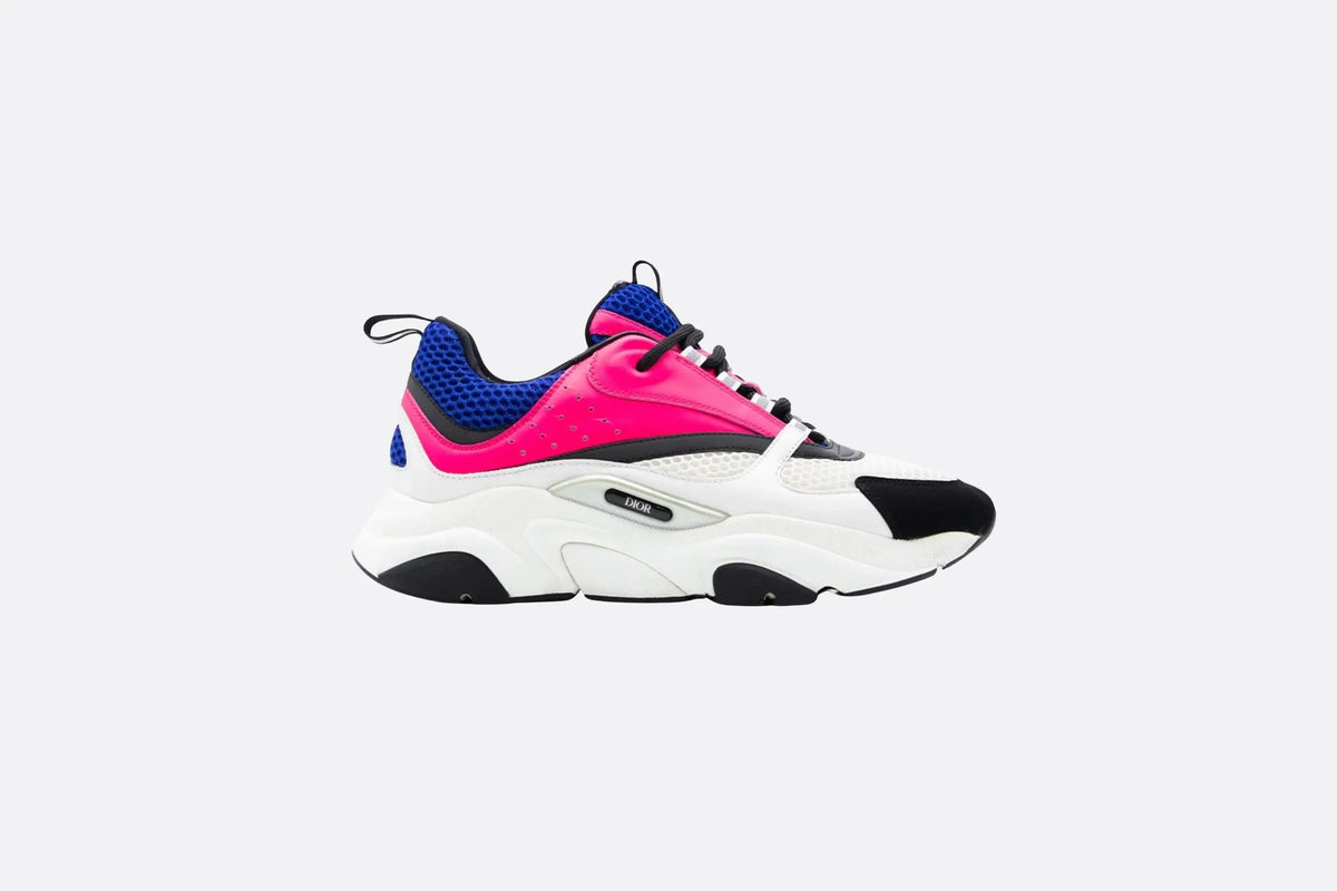 Dior B22