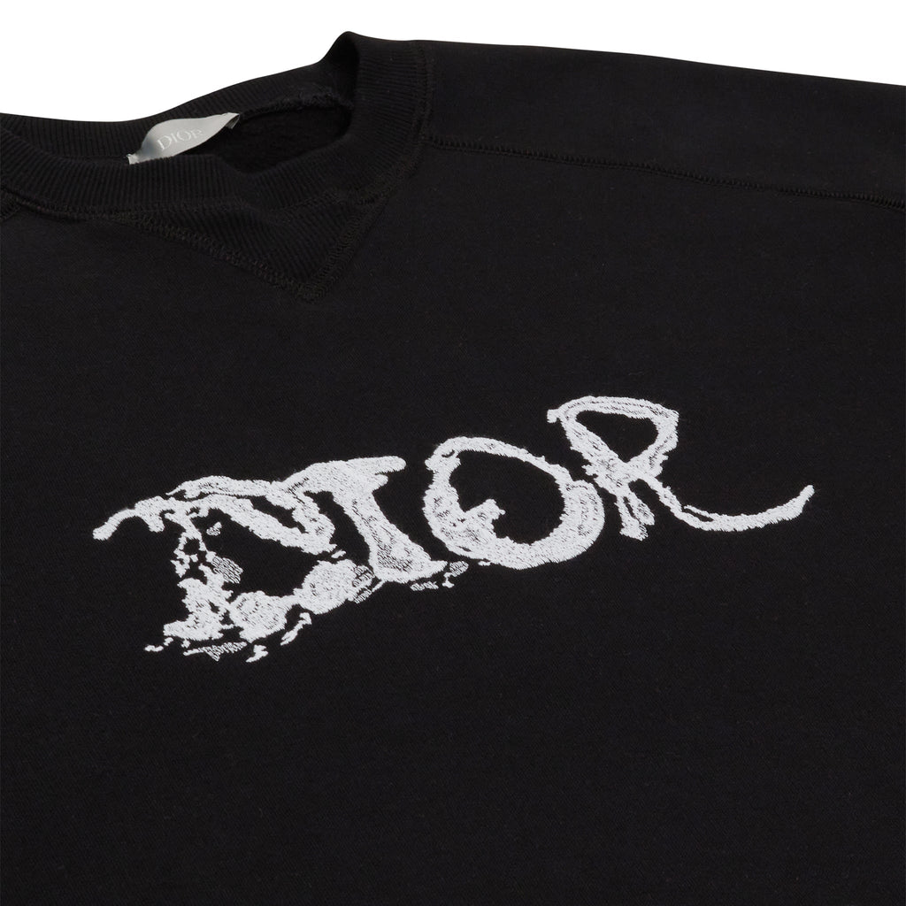 Pull Dior x Peter Doig