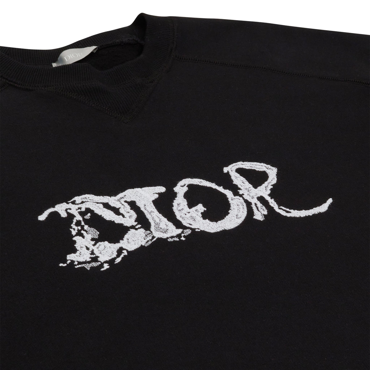 Pull Dior x Peter Doig