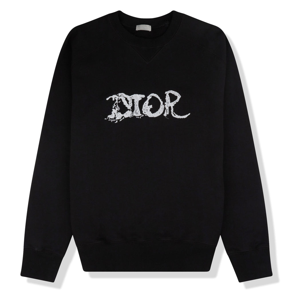 Pull Dior x Peter Doig