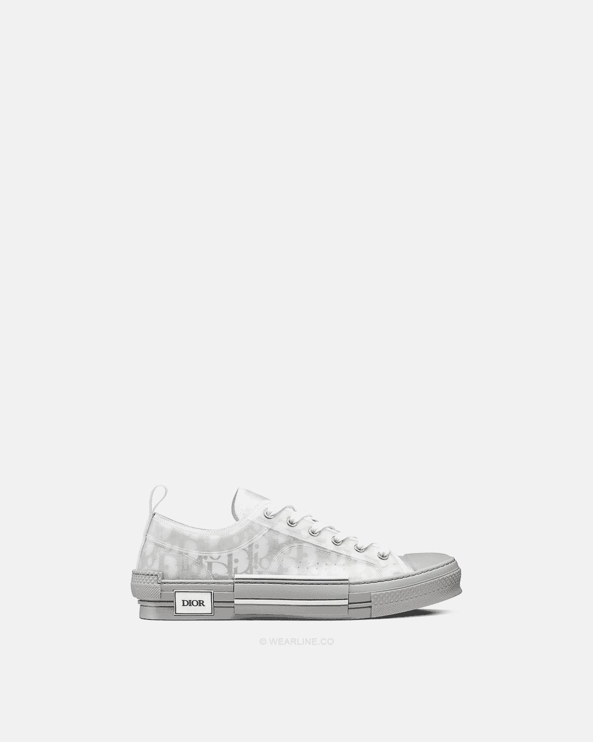 Dior B23