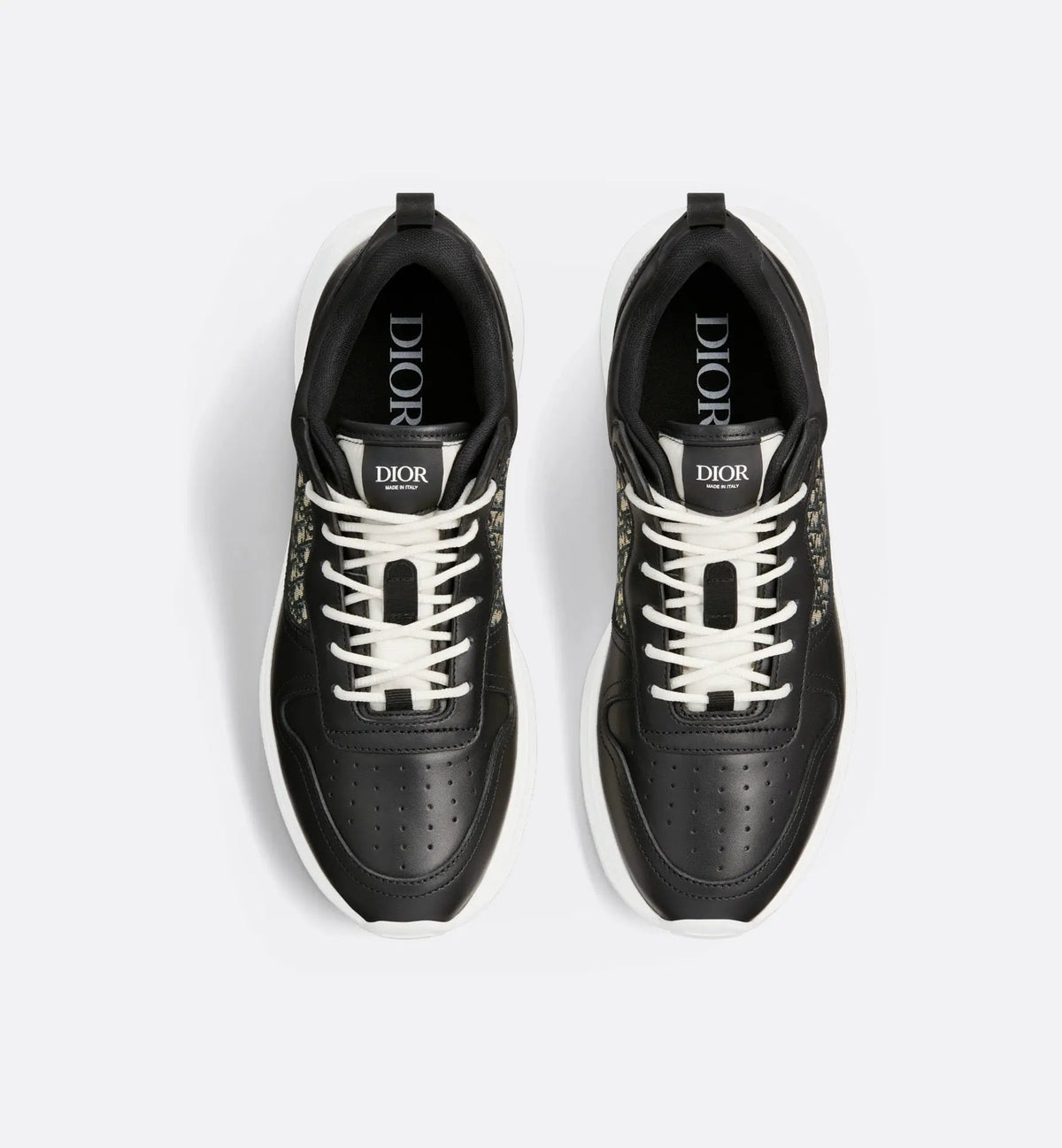 Dior B25
