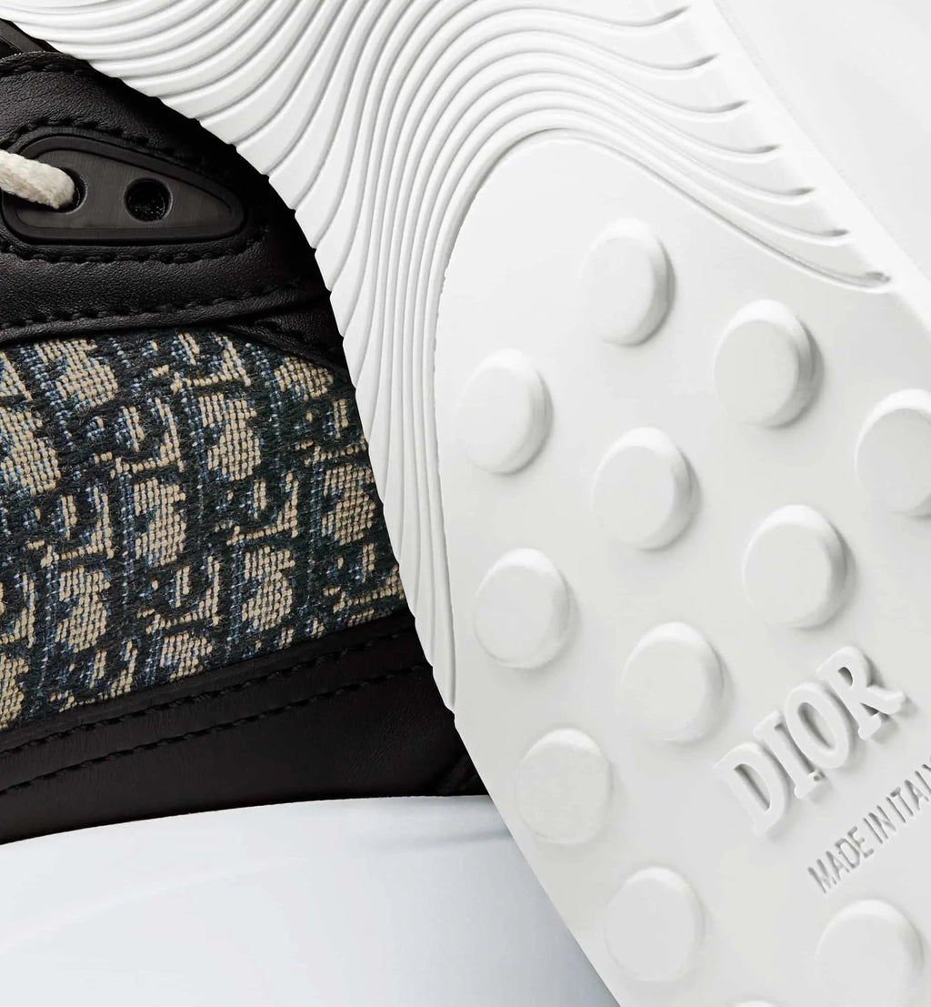 Dior B25
