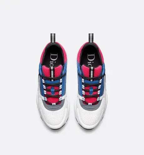 Dior B22
