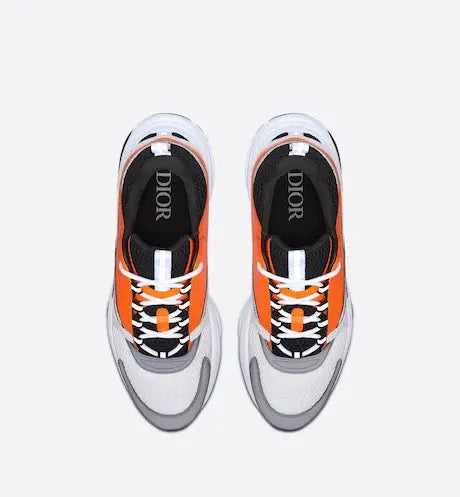 Dior B22