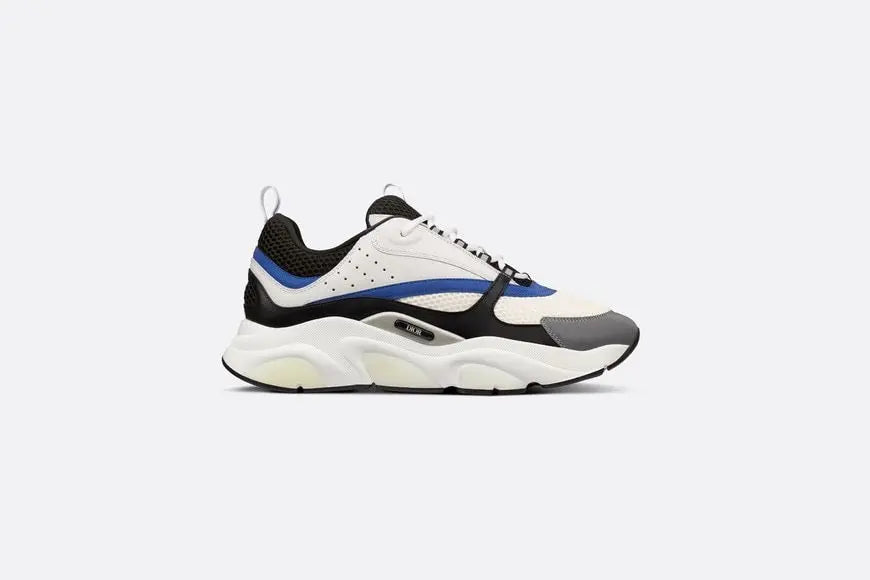 Dior B22
