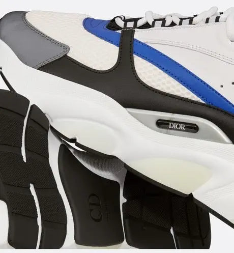 Dior B22