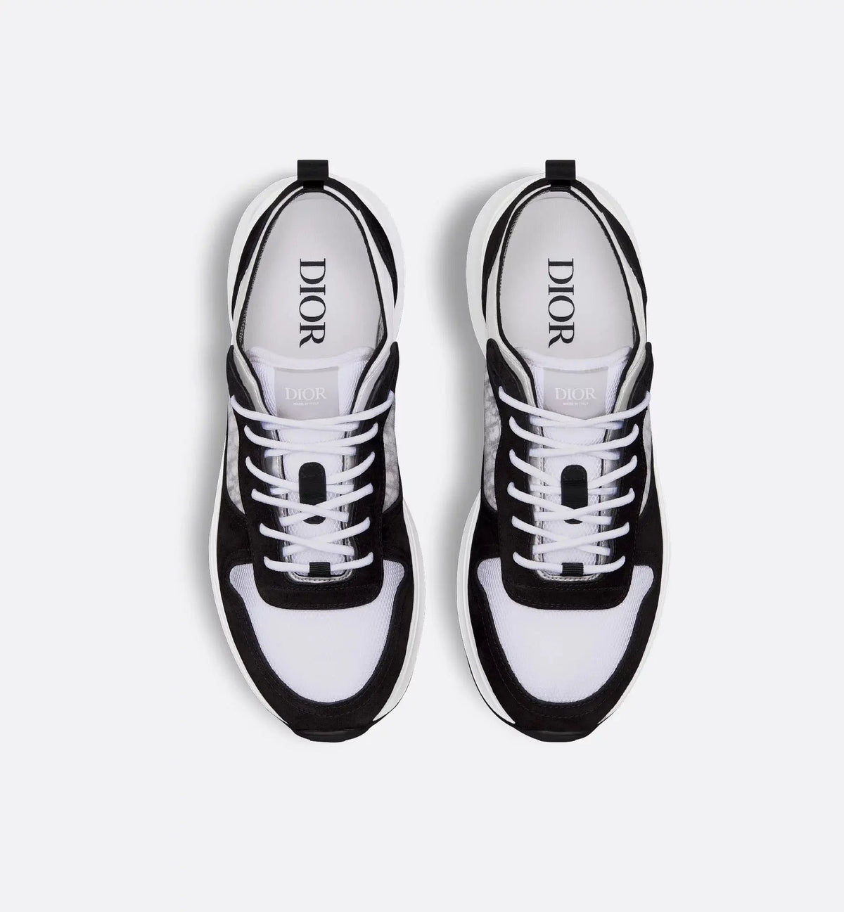 Dior B25