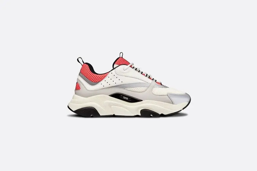 Dior B22