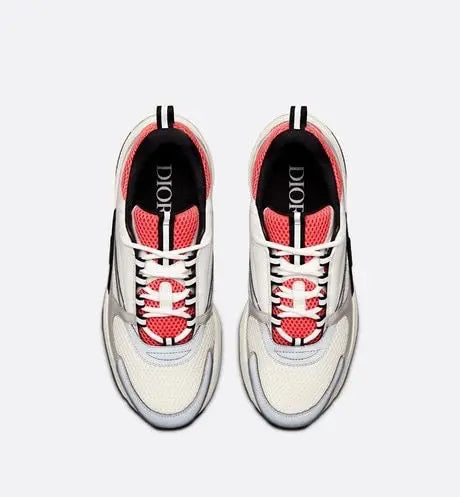 Dior B22