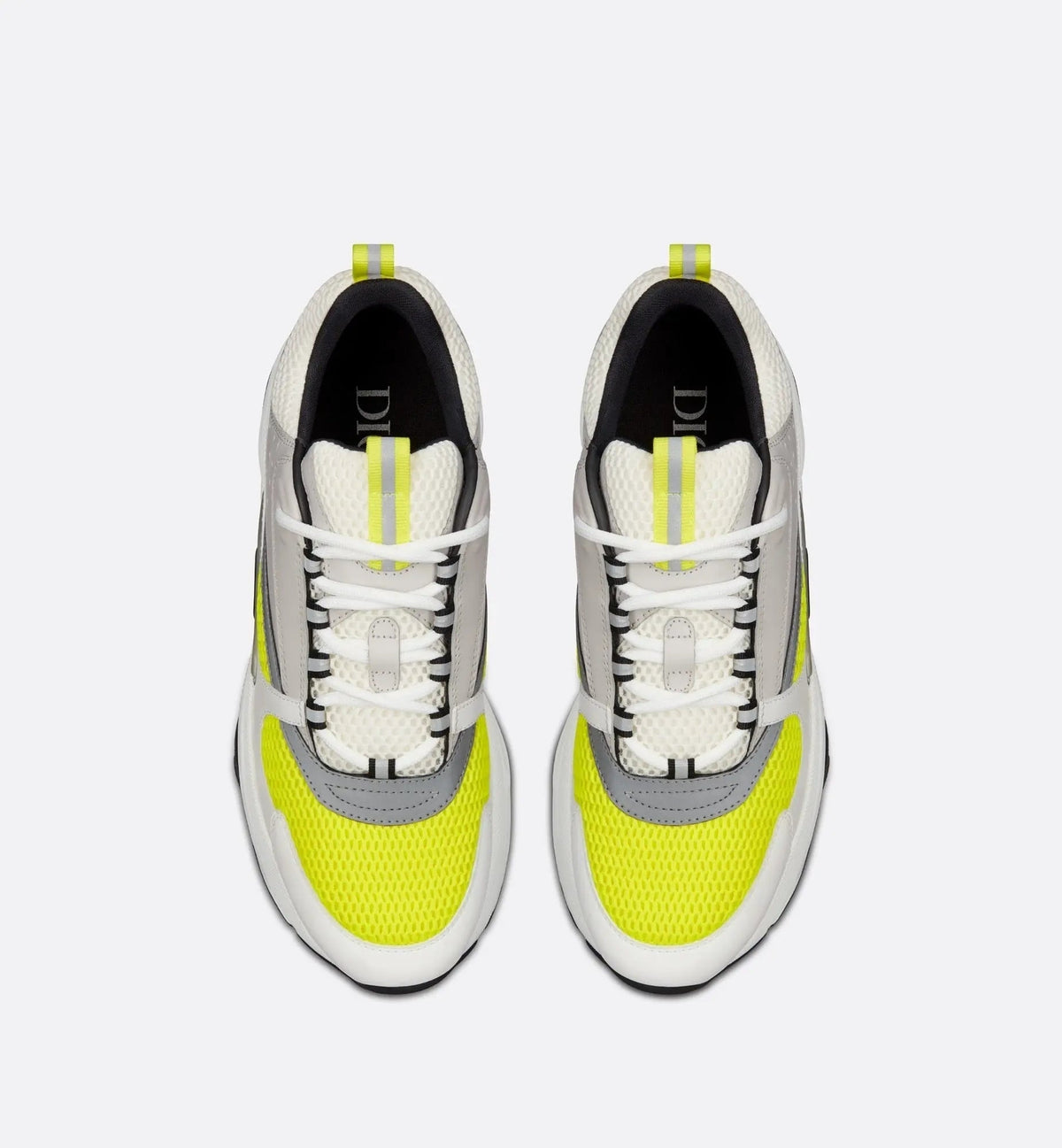 Dior B22