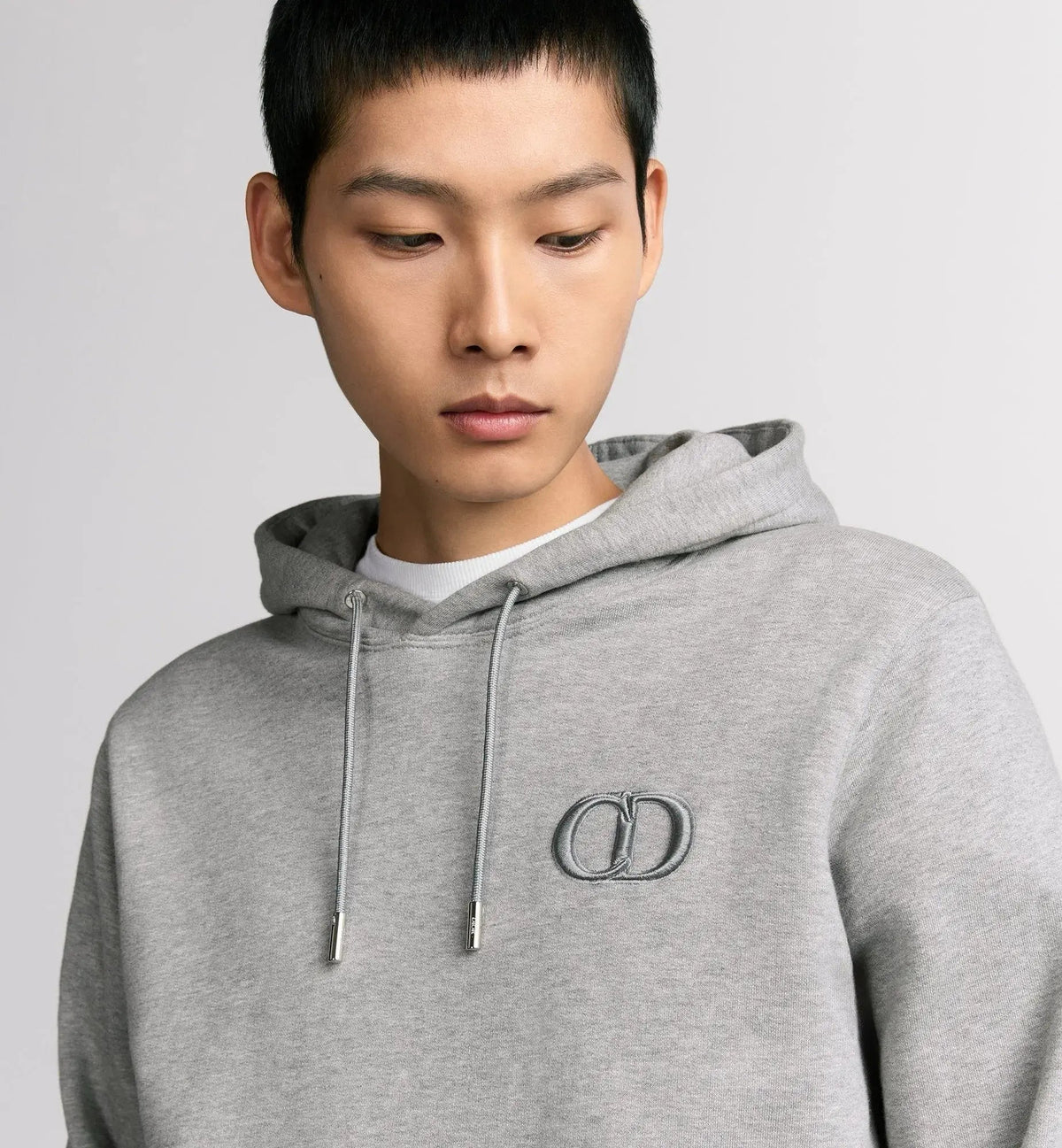 Sweat à capuche Dior Icon