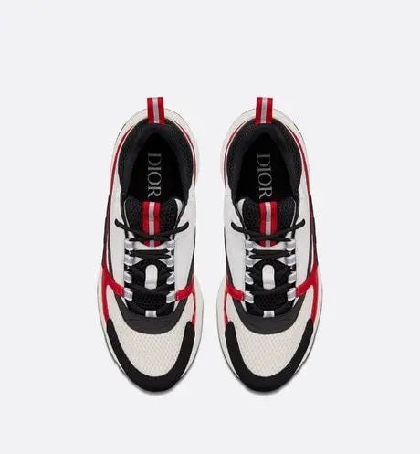Dior B22