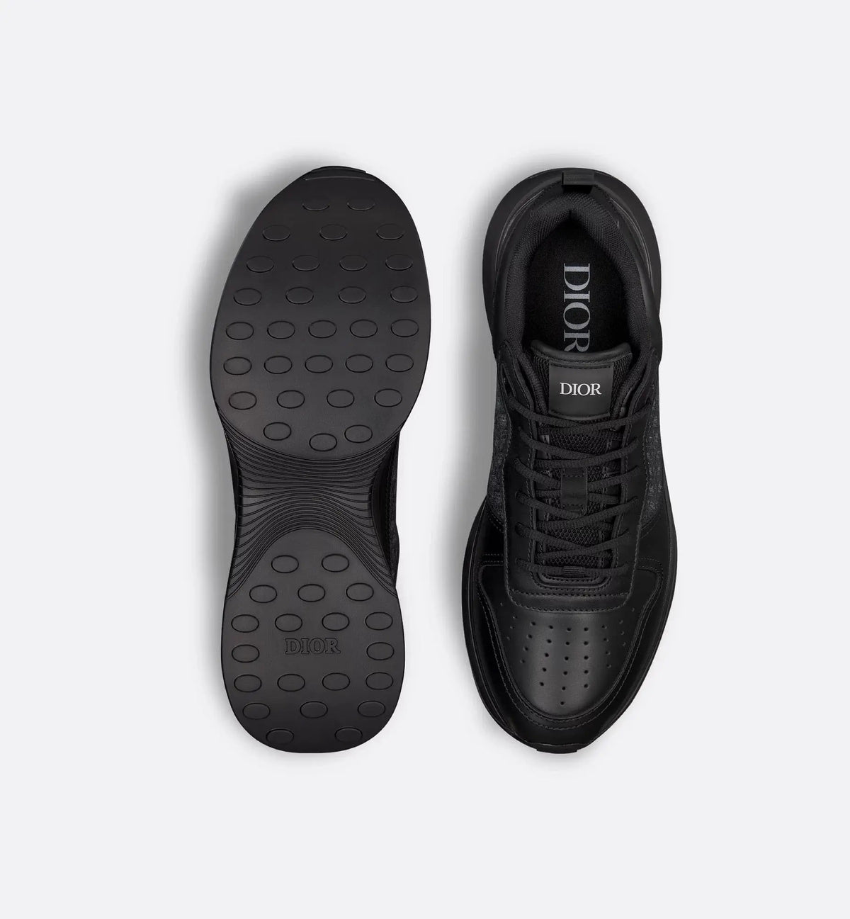 Dior B25