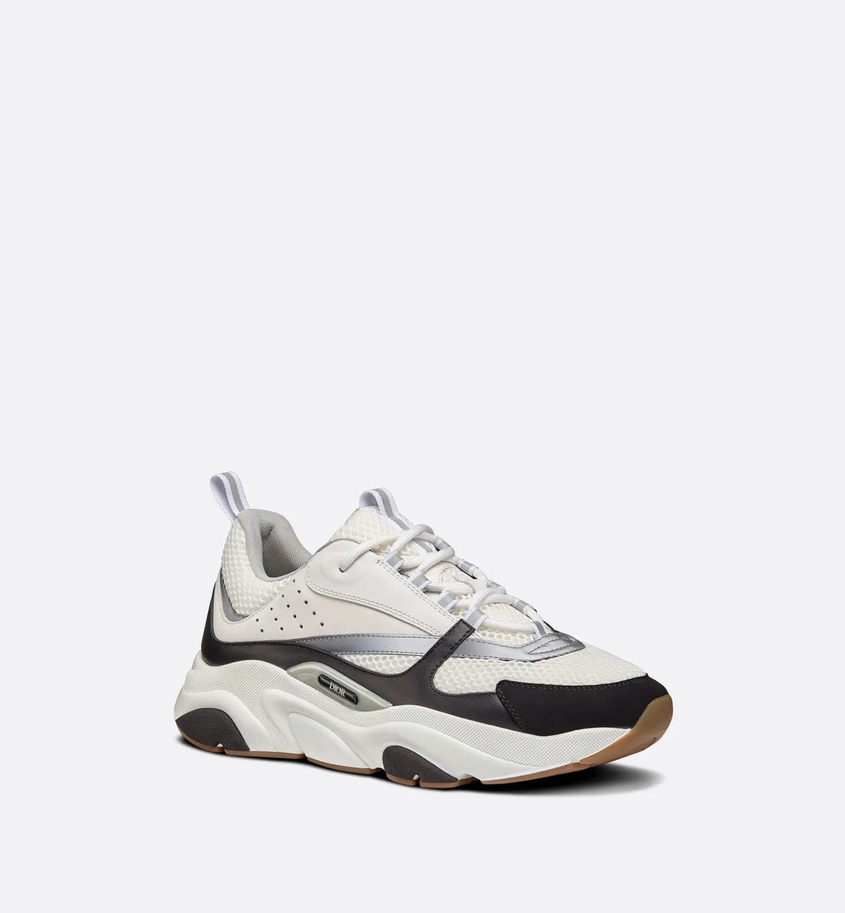 Dior B22