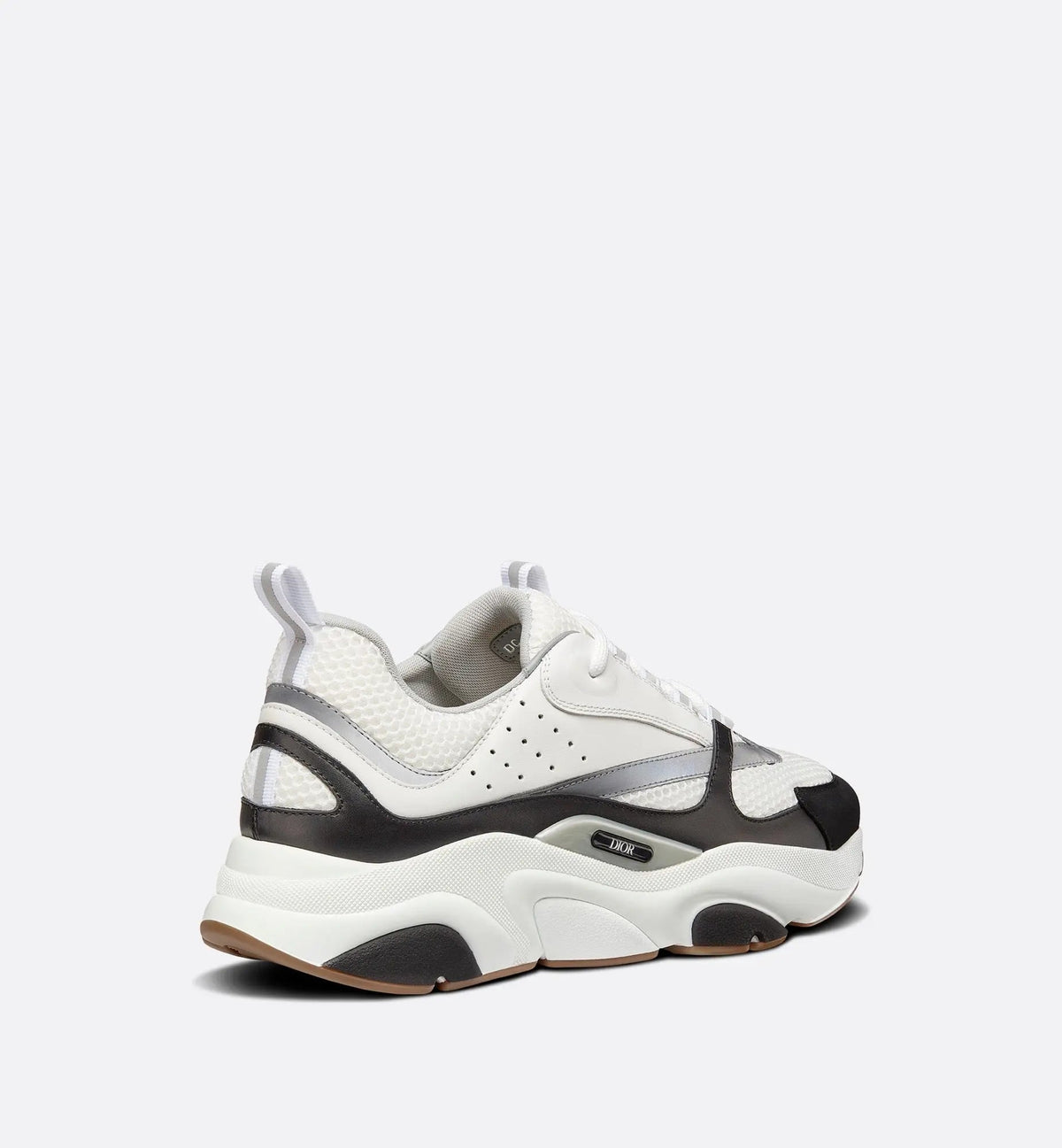 Dior B22