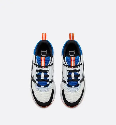 Dior B22