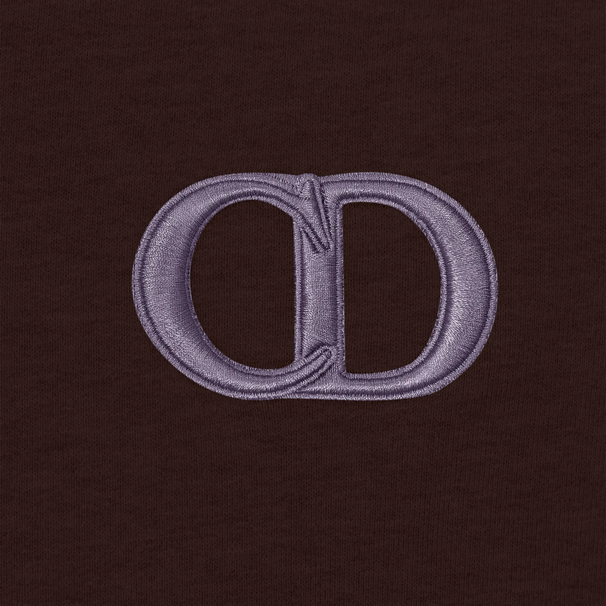 Sweat à capuche Dior Icon