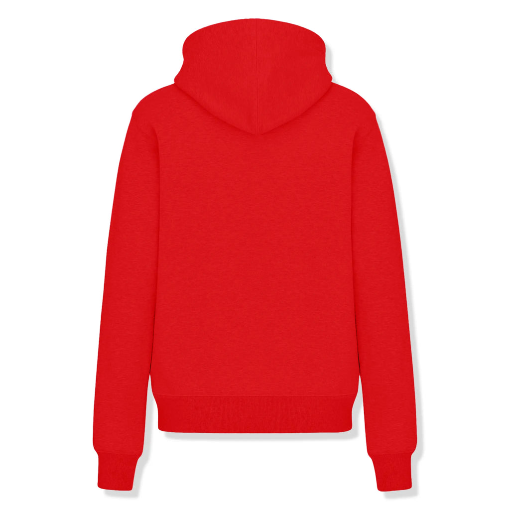 Sweat à capuche Dior Icon