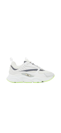 Dior B22