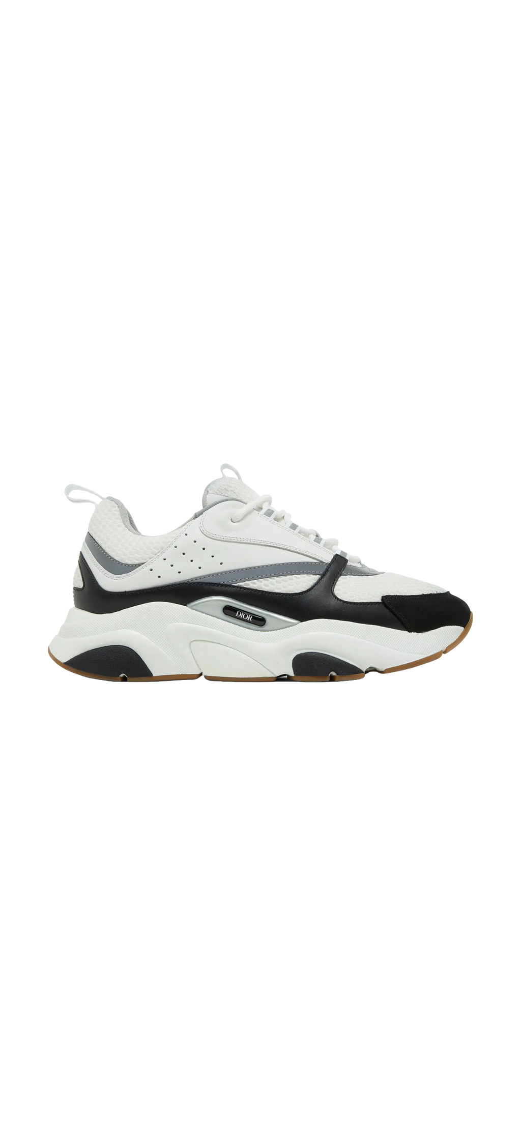 Dior B22