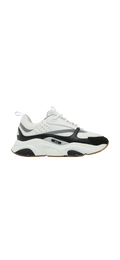 Dior B22